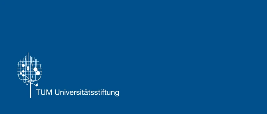 Symbolgrafik mit dem Stiftungslogo